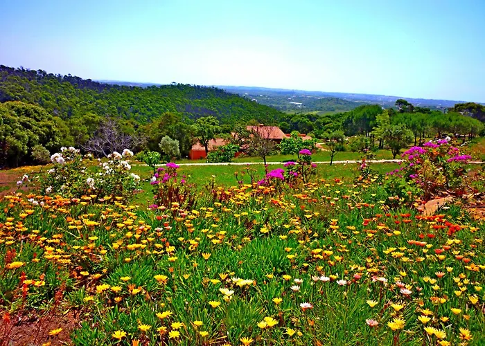 Casa Dos Sonhos, Private Terrace, Quiet Location, Walking To Village, Ecological Pool, Pets Considered, Nature Friendly
