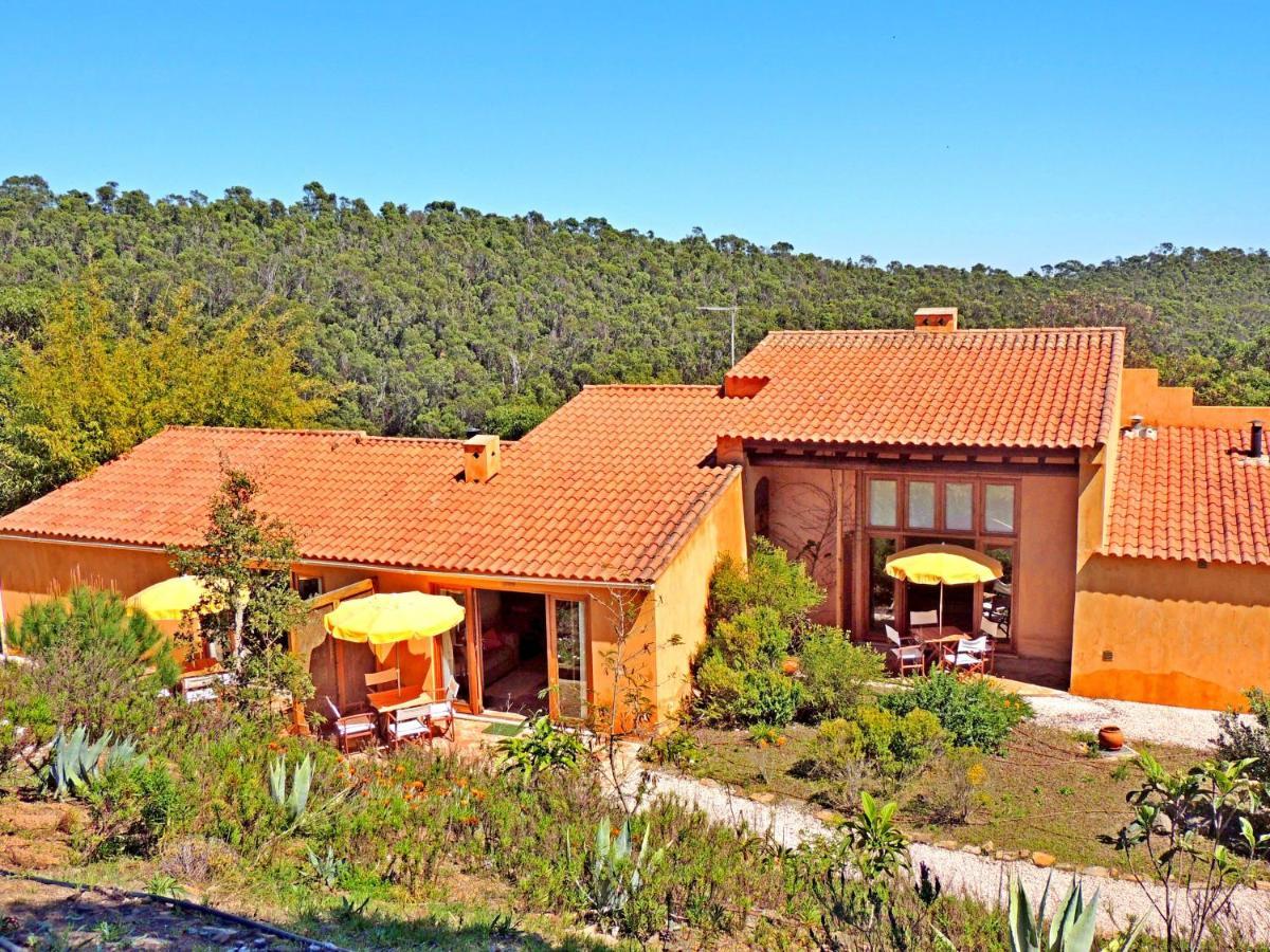 Casa Dos Sonhos: Eco-friendly Retreat With Private Terrace Apartment Barao de Sao Joao