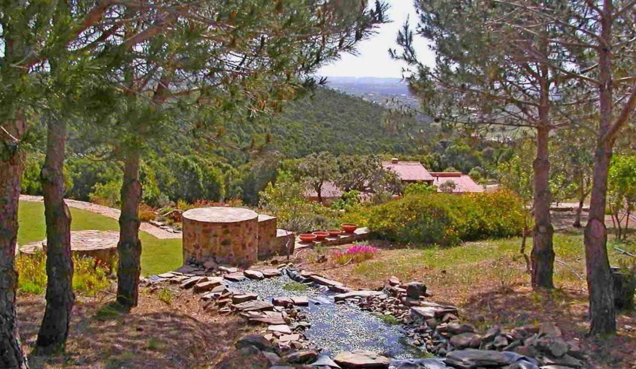 Casa Dos Sonhos: Eco-friendly Retreat With Private Terrace Apartment *