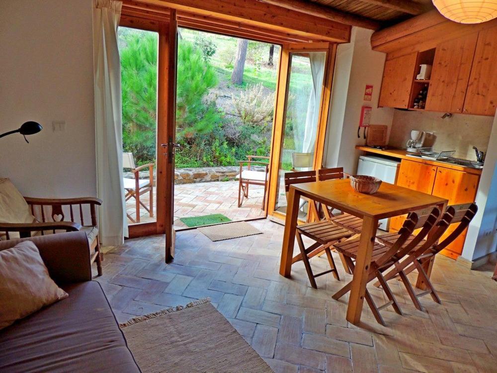 Apartment Casa Dos Sonhos: Eco-friendly Retreat With Private Terrace *