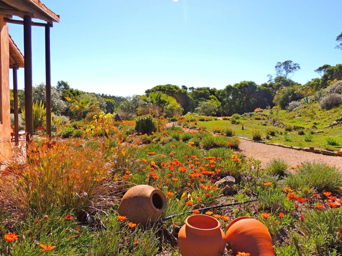 Casa Dos Sonhos: Eco-friendly Retreat With Private Terrace *